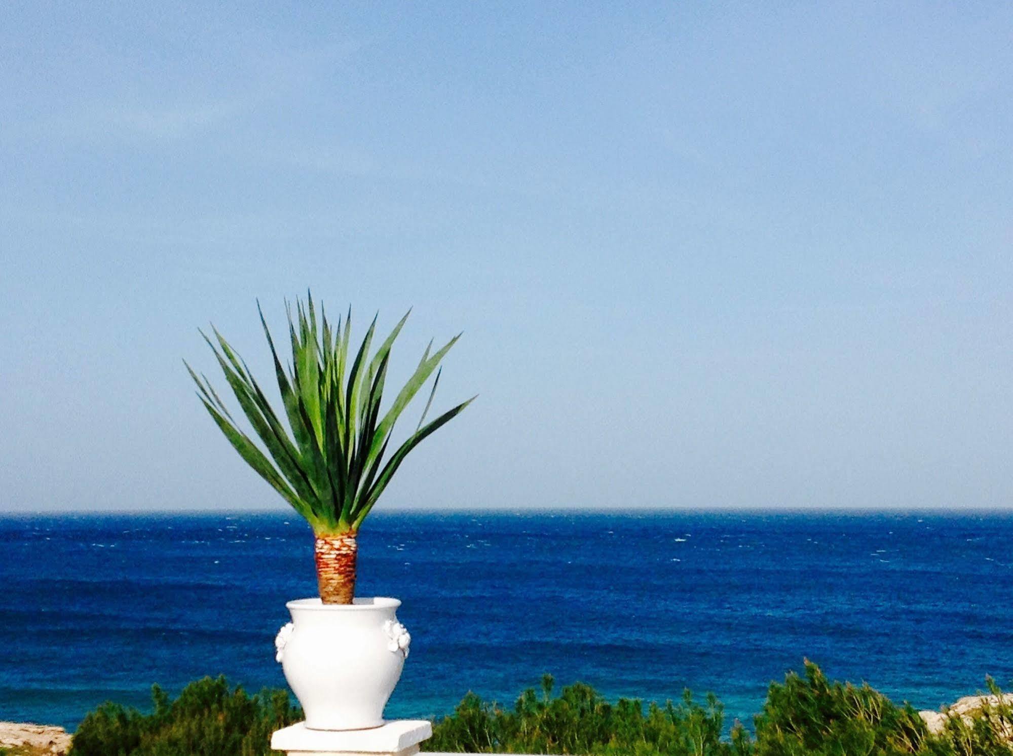 Bed and Breakfast Playa Del Mar - Adults Only Монополі Екстер'єр фото